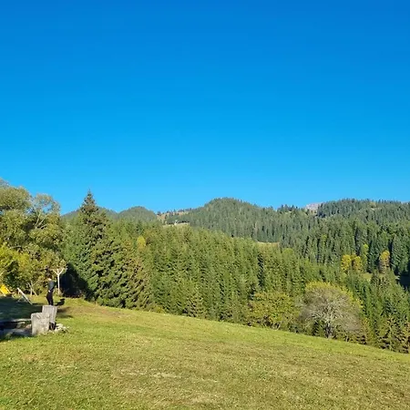 Casa Buna Chalet *